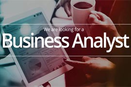 Business Analyst