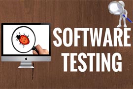 Software Testing