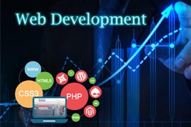 Web Developer job